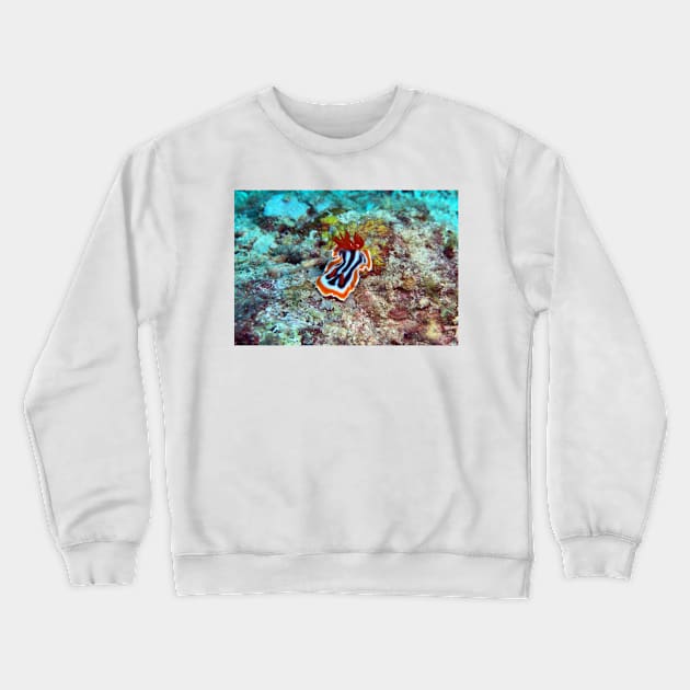 Nudibranch Crewneck Sweatshirt by likbatonboot